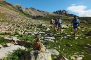 Giro ad anello della Punta di Ercavallo (3063 m.) dal Rif. Bozzi il 13 ag. 2013  - FOTOGALLERY